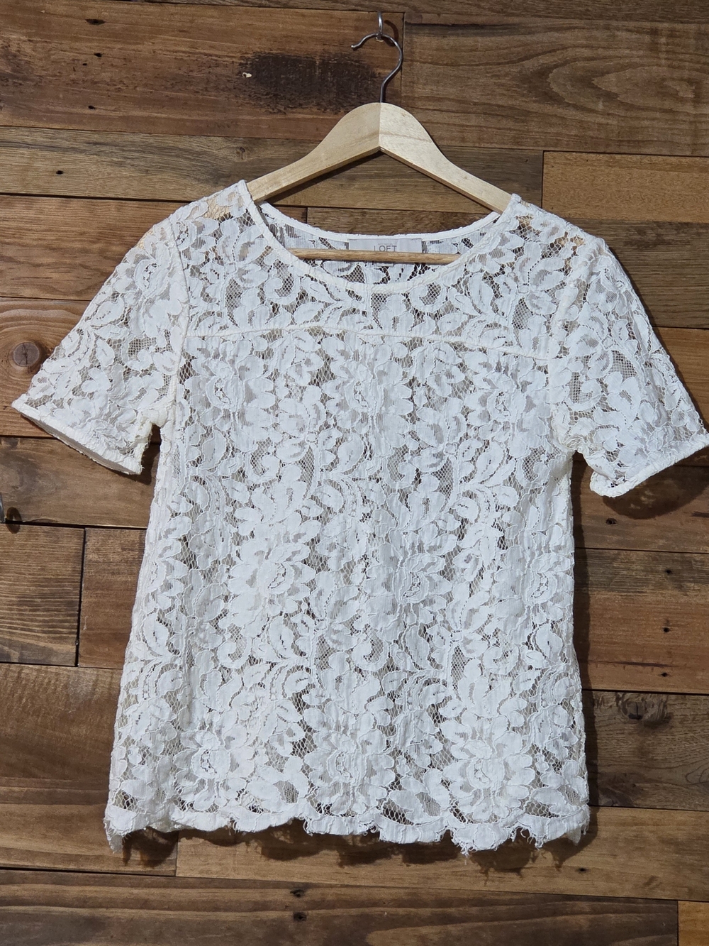 LOFT Ivory Sheer Floral Lace Short Sleeve Top Romantic Feminine